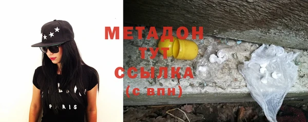 прущие грибы Беломорск