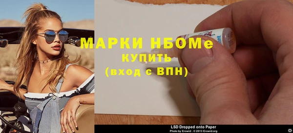 прущие грибы Беломорск