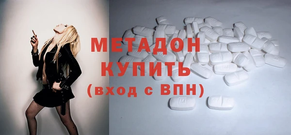 прущие грибы Беломорск