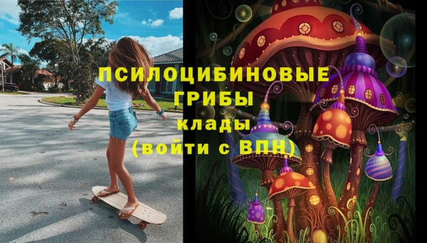тгк Белокуриха