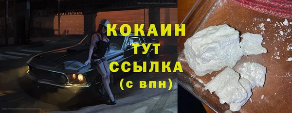 прущие грибы Беломорск
